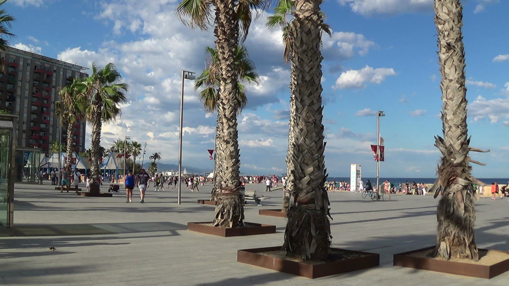74444s_beach4_panreli_filmstill2
