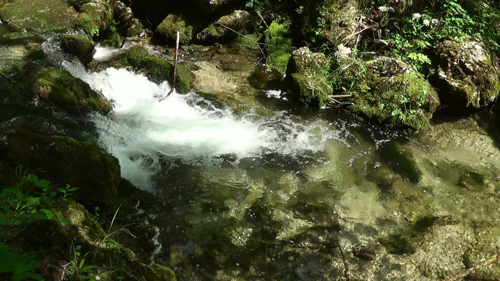 01451s_brook_filmstill