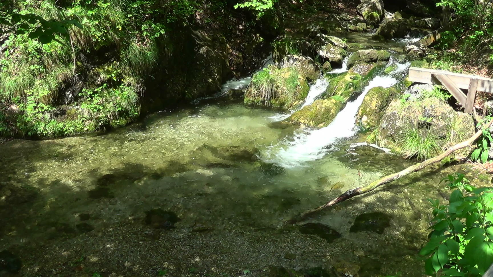 02557s_brook_filmstill