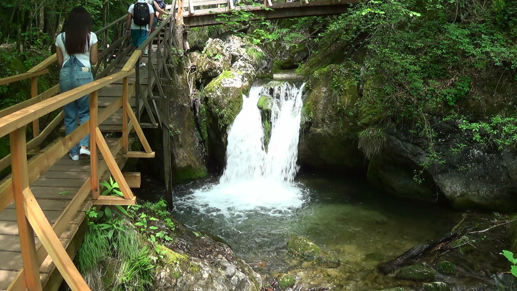 14223s_brook_filmstill