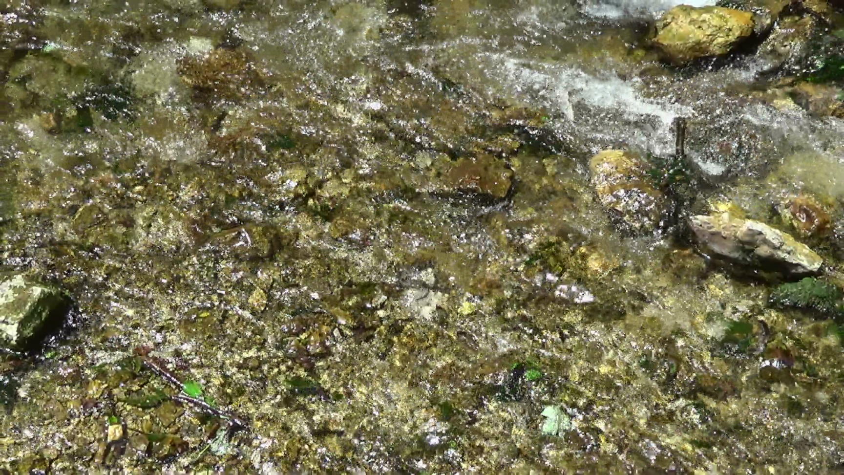 21734s_brook_filmstill