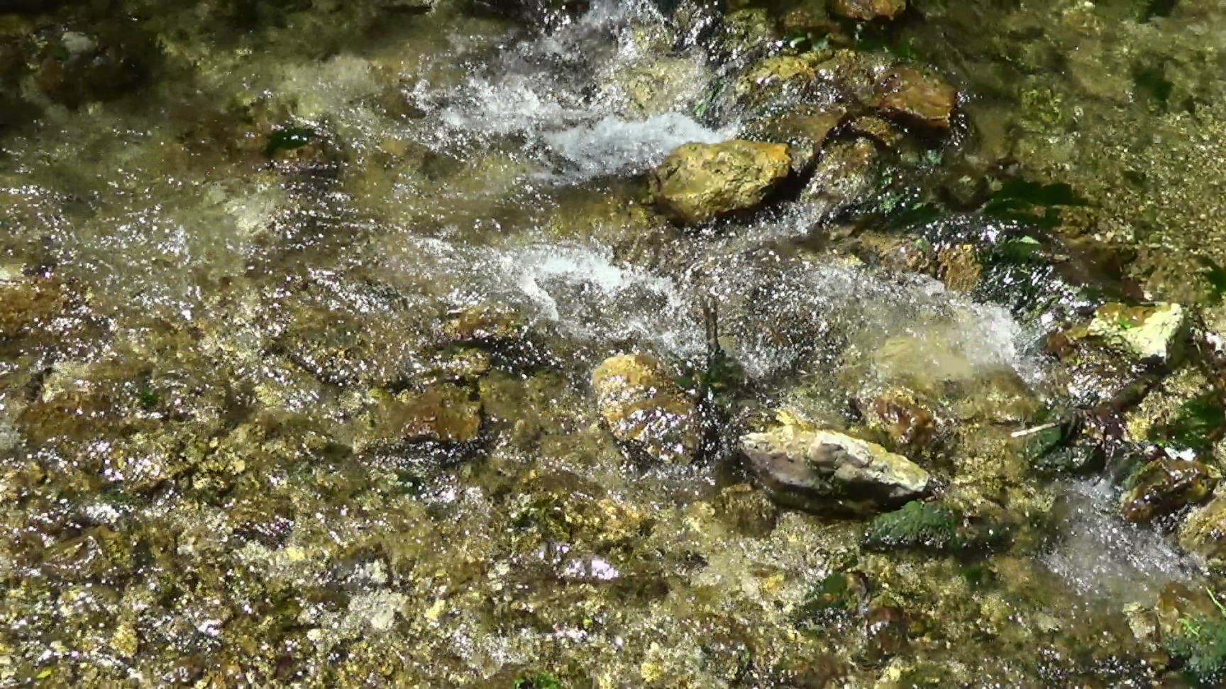 21935s_brook_filmstill