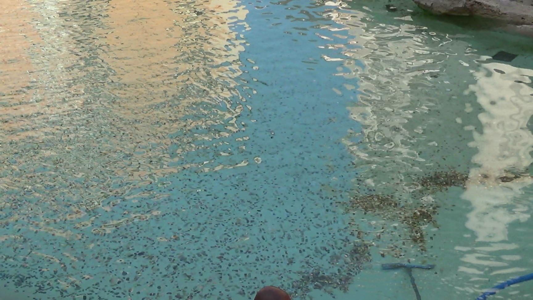 81641s_trevi_money_filmstill2