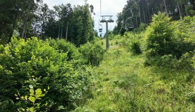 Austria 126029-2 Forest Up soon