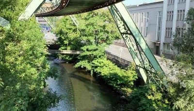 Wuppertal 480546-3 Wupper Upright Size soon