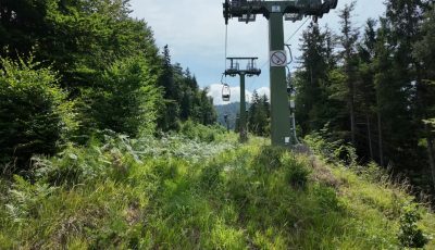 Austria 126029-3 Forest Up soon
