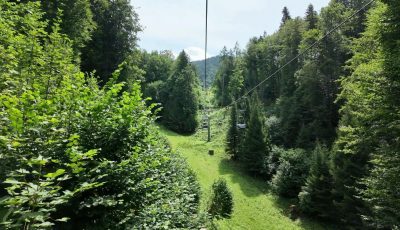 Austria 126029-4 Forest Up