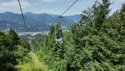 Austria 134382-2 Forest Down soon