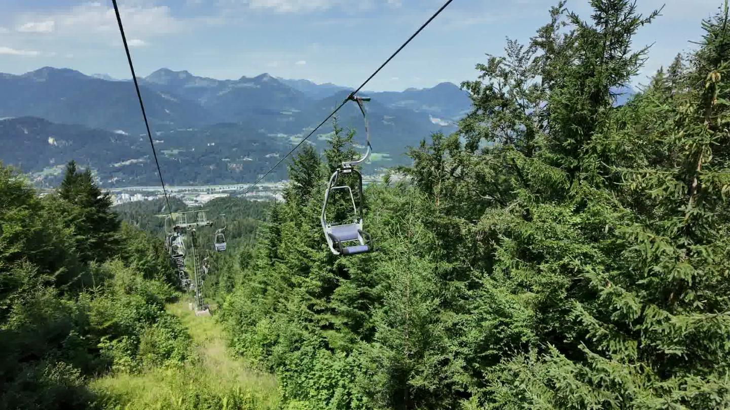 Austria 134382-2 Forest Down soon