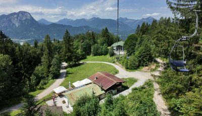 Austria 134382-6 Forest Down soon