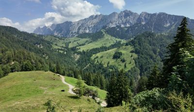 Tirol 150234 Wilder Kaiser Panorama
