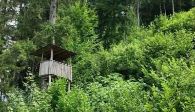 Tirol 348034-2 Forest Upright Size soon