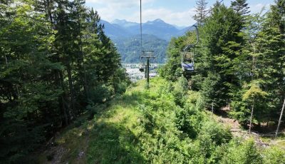 Austria 353622-5 Forest Down soon
